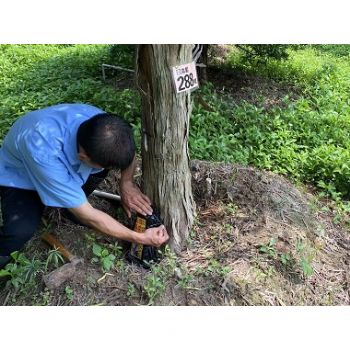 快速治理，價(jià)格最低