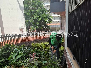 黃埔區(qū)抓蛇捕蛇工程