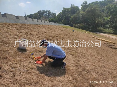 從化堤壩白蟻滅治工程